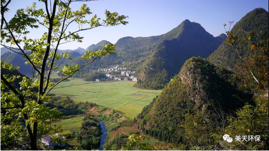 湖南垃圾桶 湖南垃圾桶