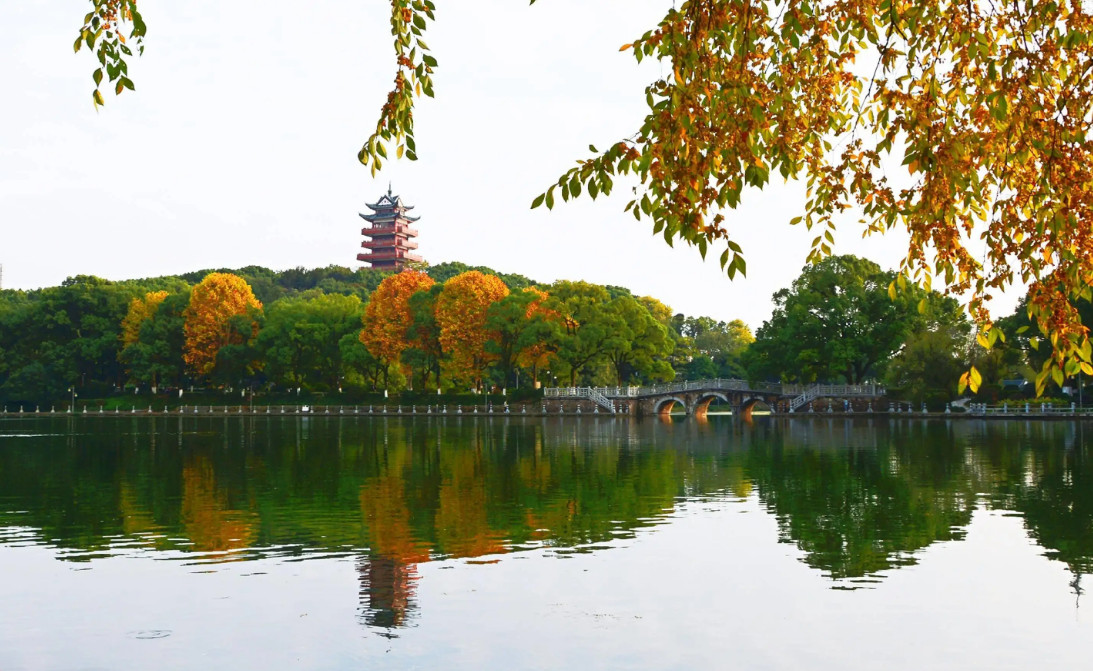 湖南垃圾桶 湖南垃圾桶