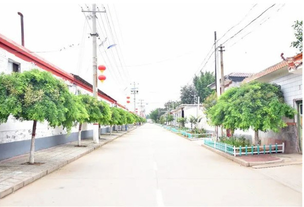 湖南垃圾桶 湖南垃圾桶