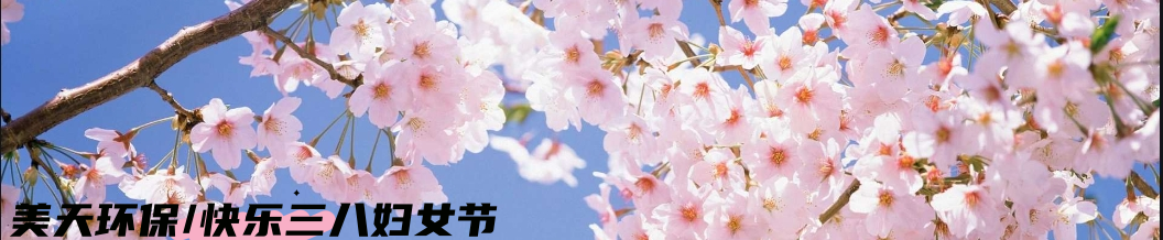 湖南垃圾桶 湖南垃圾桶